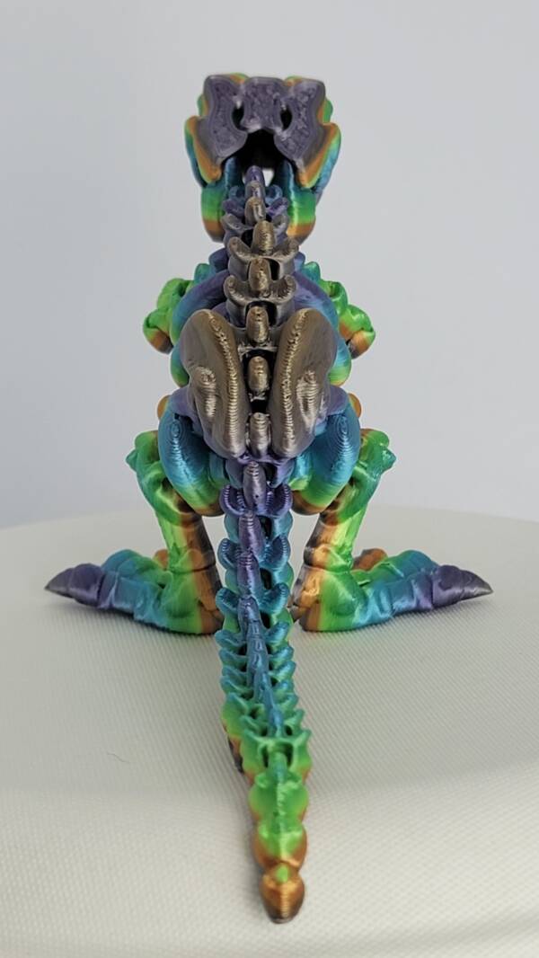 3D Flexi Skeleton T-Rex Toy (backside)
