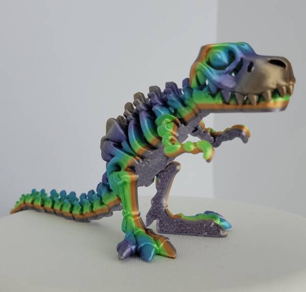 3D Flexi Skeleton T-Rex Toy (front)
